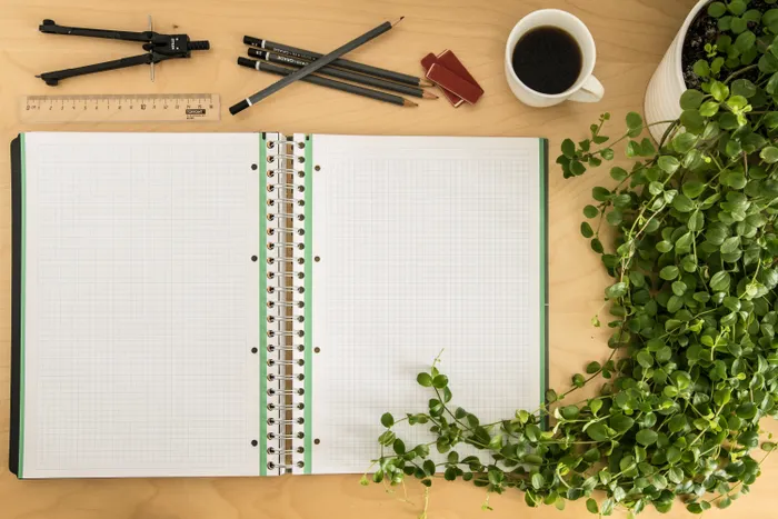 Loose Leaf Tea Preparation for Small-Space Households: Essentials